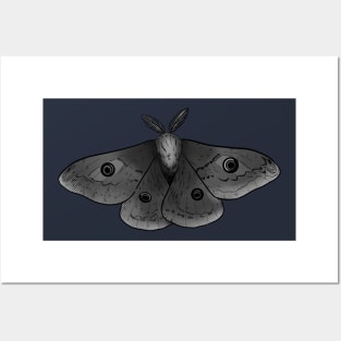 moth Posters and Art